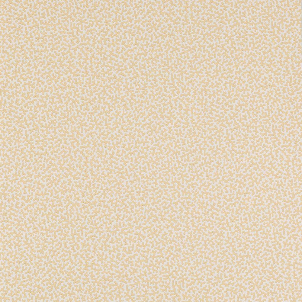 Colefax and Fowler Wendle Wallpaper