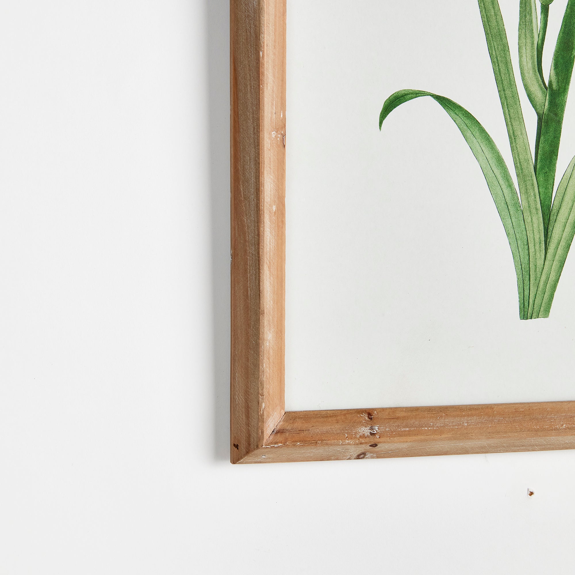 Napa Home And Garden Garden Bloom Prints, Set Of 4