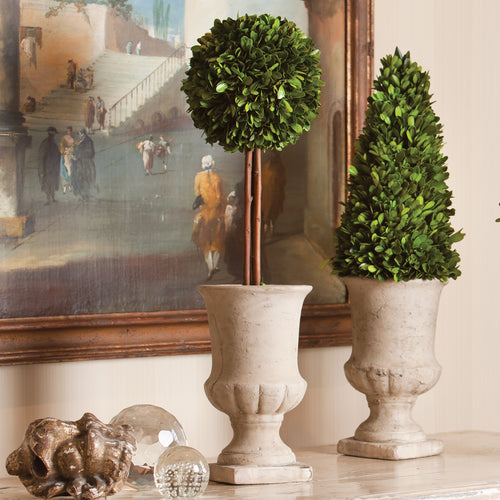 Napa Home And Garden Boxwood Cone Topiary In Urn 24"