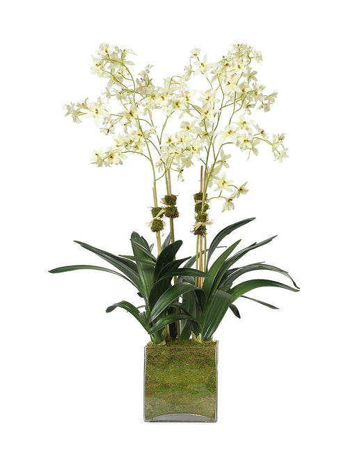Diane James Cream Oncidium Orchids Bouquet