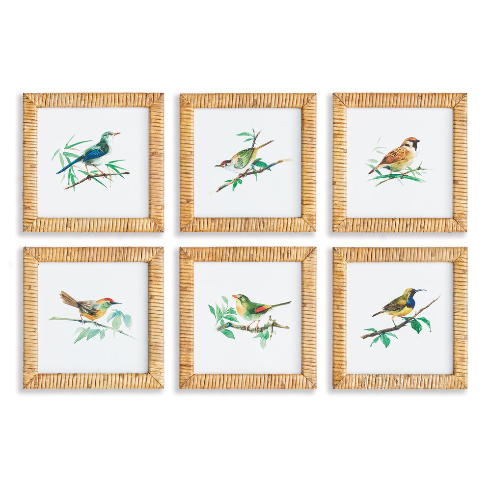 Napa Home And Garden Songbird Petite Prints St/6