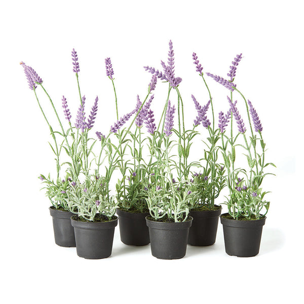 Napa Home And Garden French Lavender Drop In 13", Set Of 6