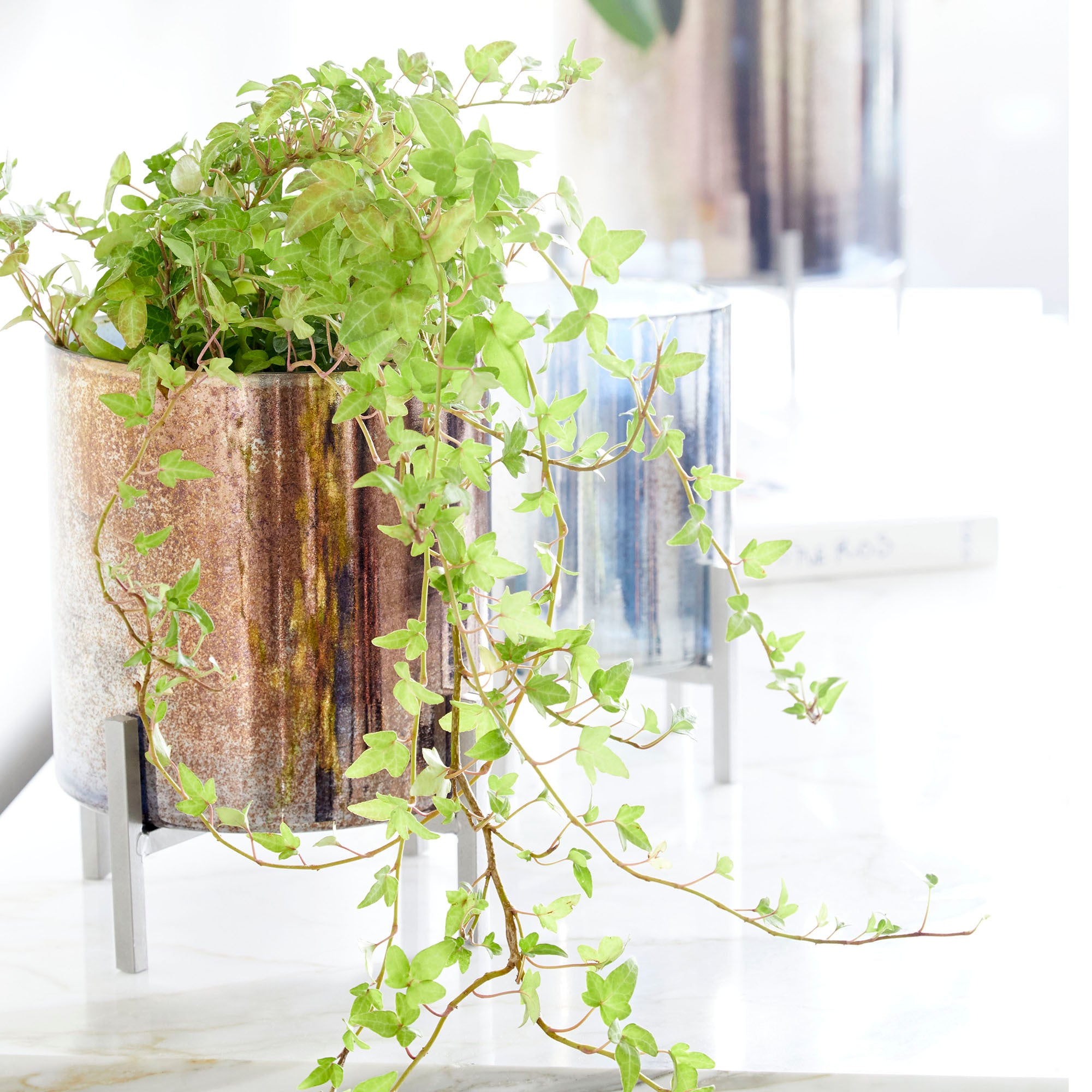 Large Basil Candleholder By Cyan Design