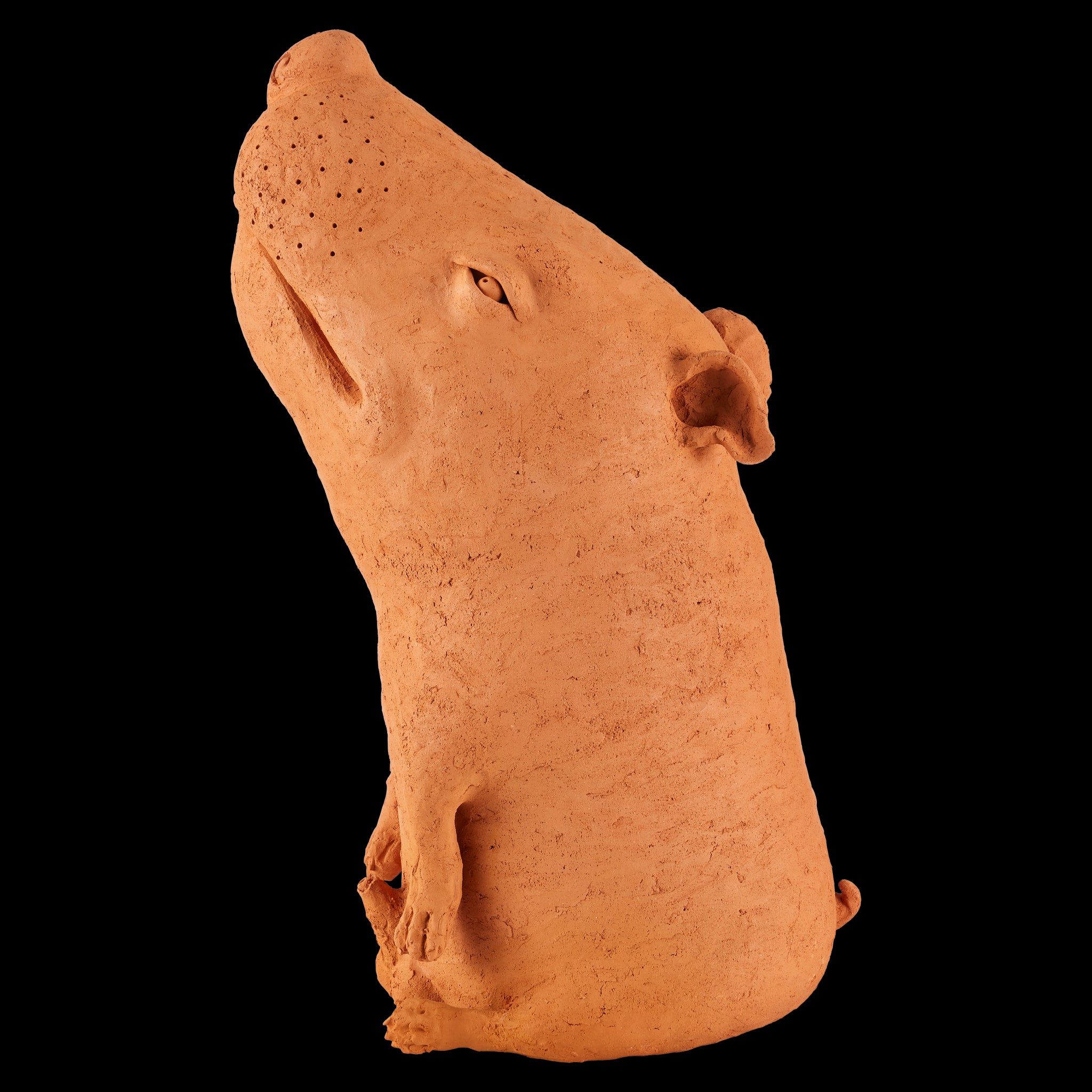 Currey & Company 23.5" Terracotta Sam The Mutt