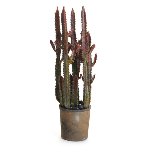 Napa Home And Garden Spurge Cactus Potted 27"