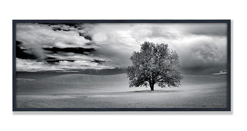 Grand Image Home Photo Df, Lone Tree And Clouds In Wheat Field Art