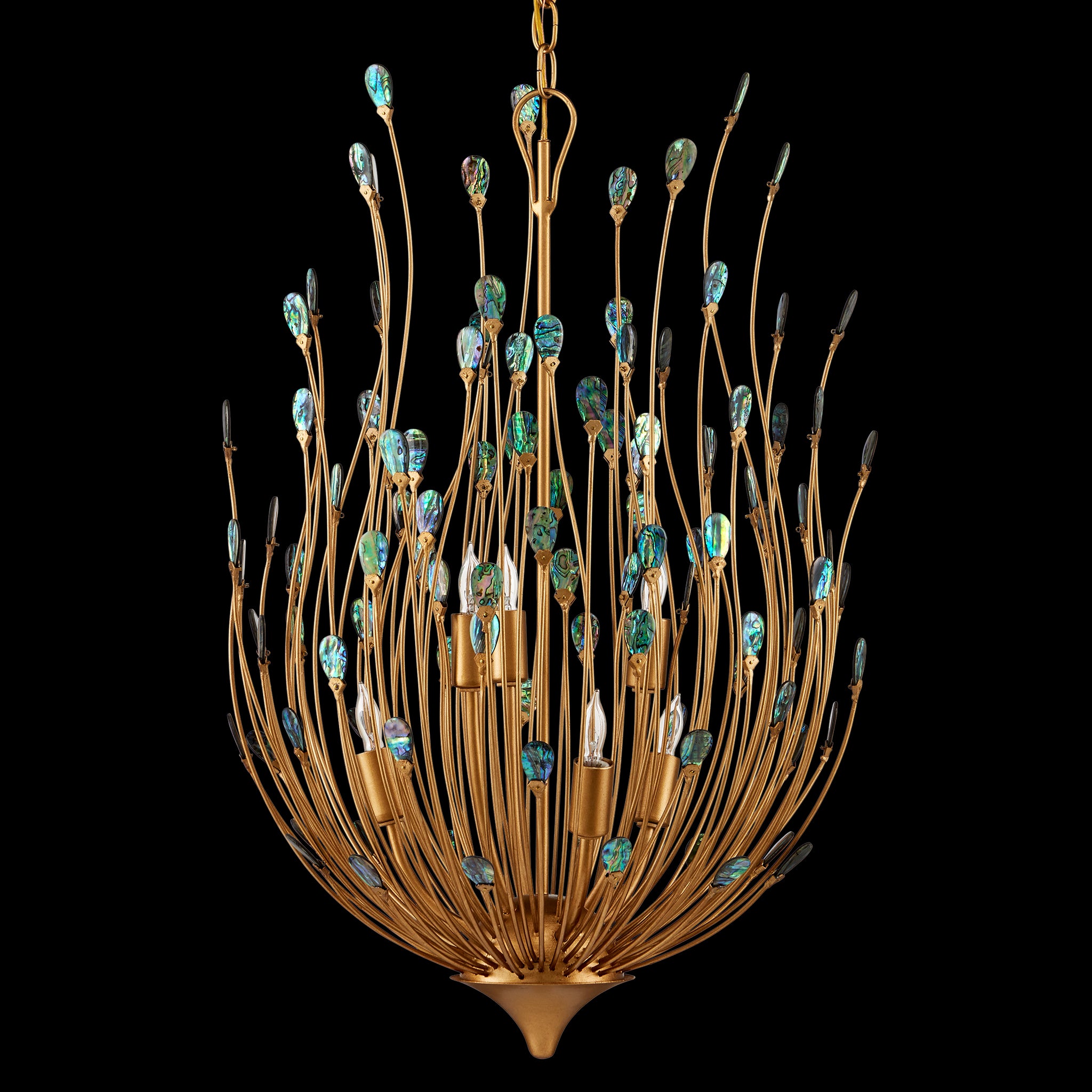 Currey & Company Delphos 19.5" Paua Shell 6 Light Chandelier