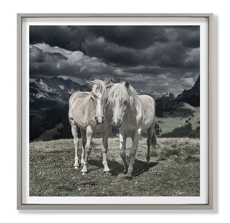 Grand Image Home Chris Dunker, Horses In Europe Ii Art