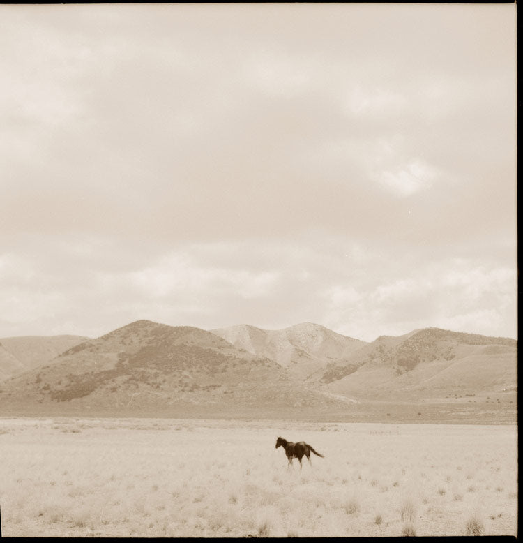 Grand Image Home Chris Dunker, Landscape With Horse Art