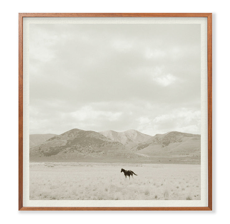 Grand Image Home Chris Dunker, Landscape With Horse Art