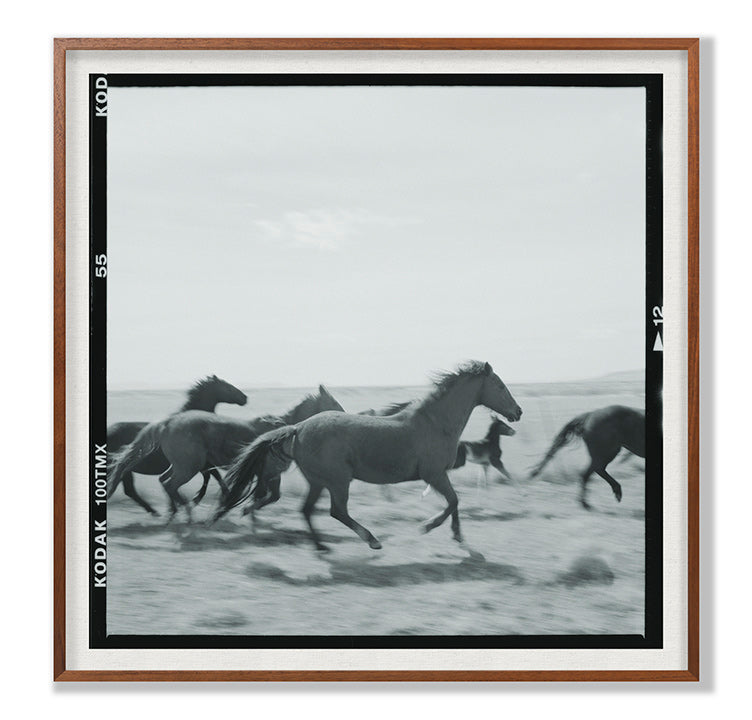 Grand Image Home Chris Dunker, Running Horses Art