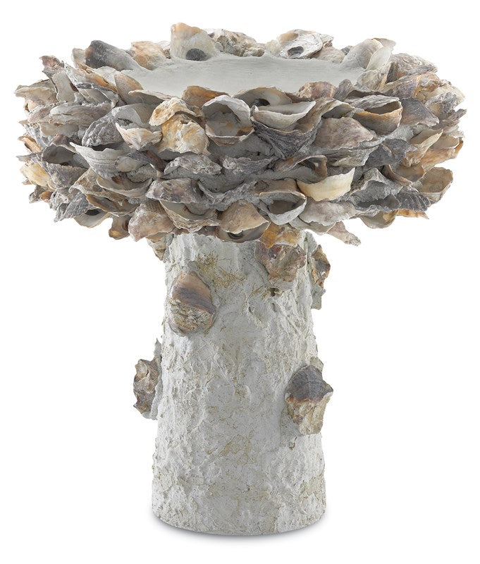 Currey And Company Oyster Shell Small Bird Bath