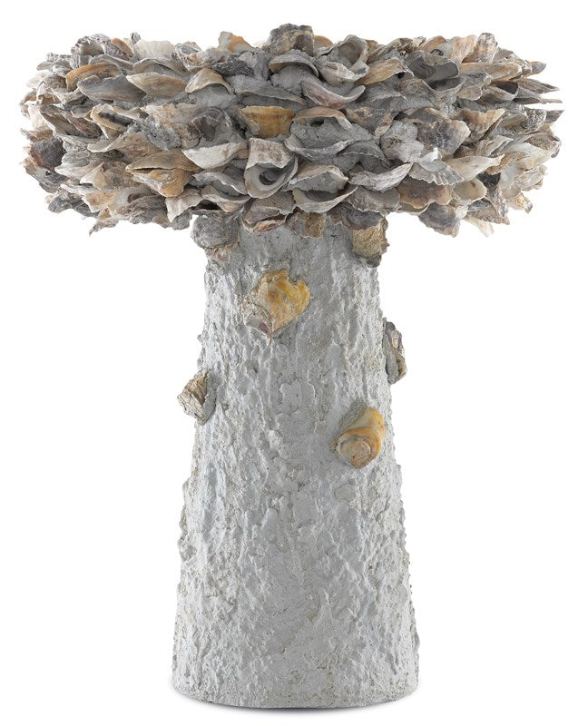 Currey & Company Oyster Shell Medium Bird Bath