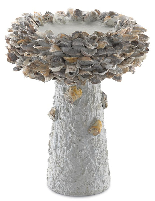 Currey & Company Oyster Shell Medium Bird Bath