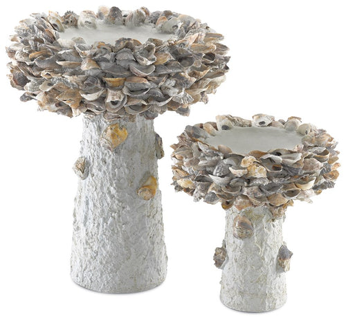 Currey & Company Oyster Shell Medium Bird Bath