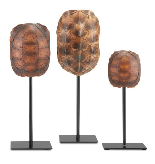 Currey And Company Turtle Shells Set Of 3