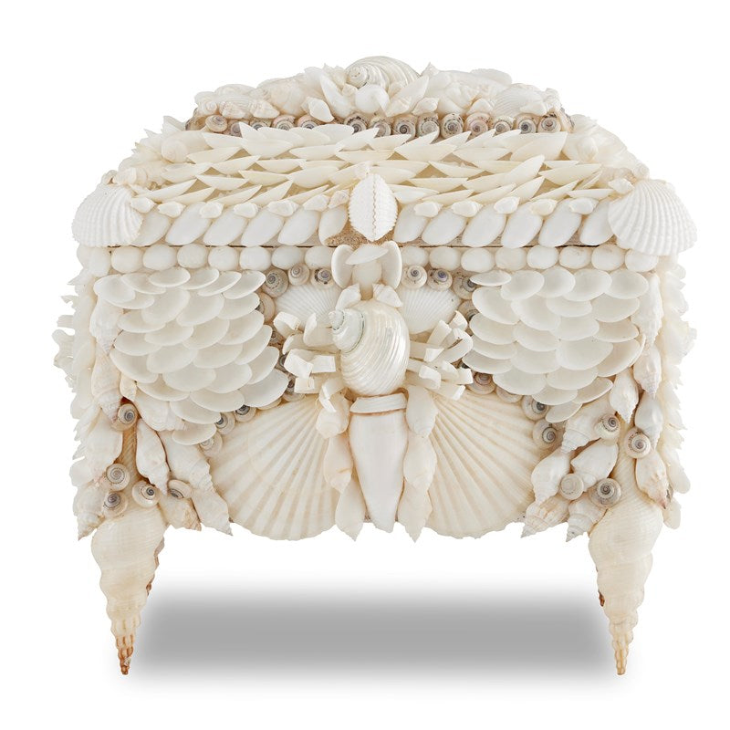 Currey And Company Boardwalk White Shell Jewelry Box