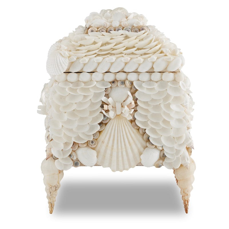 Currey And Company Boardwalk White Shell Jewelry Box