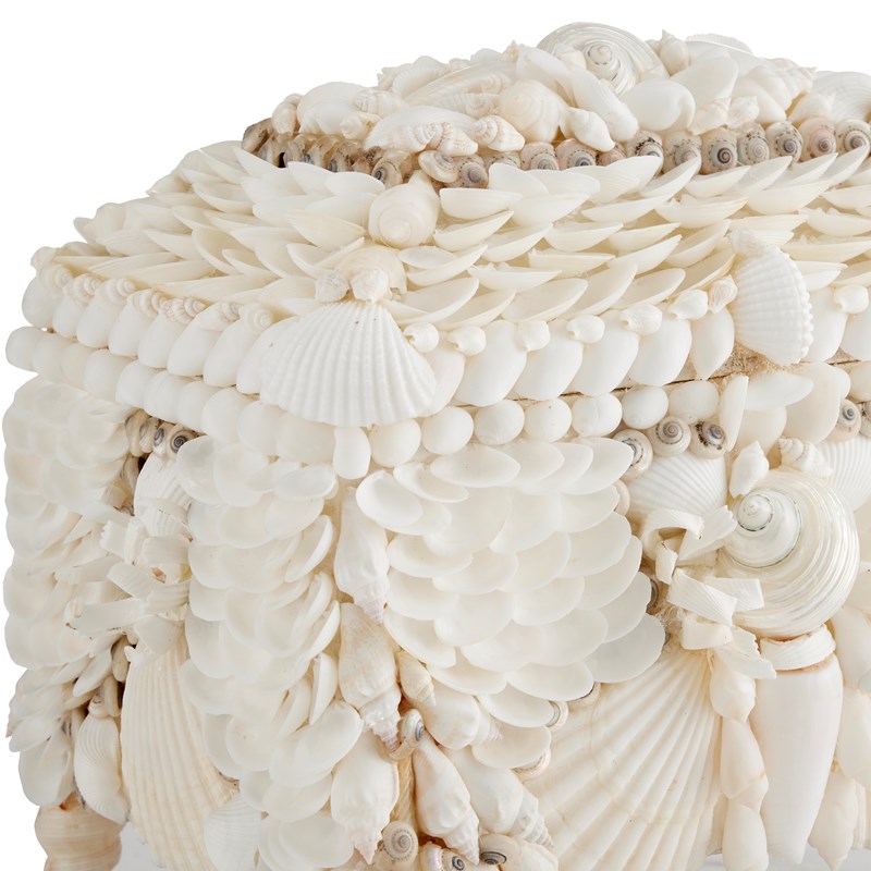 Currey And Company Boardwalk White Shell Jewelry Box