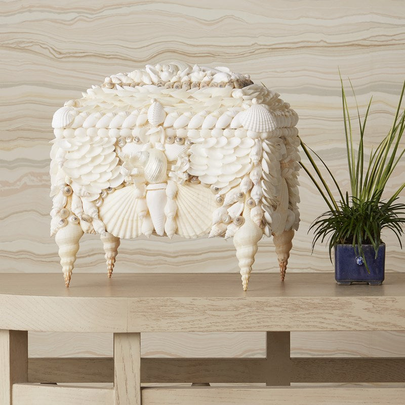 Currey And Company Boardwalk White Shell Jewelry Box