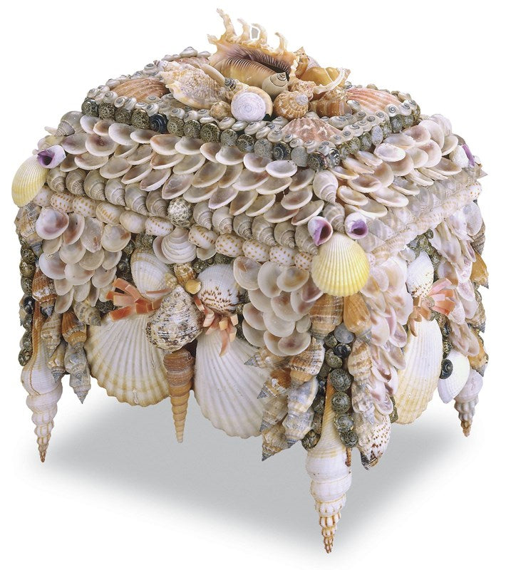 Currey And Company Boardwalk Shell Jewelry Box
