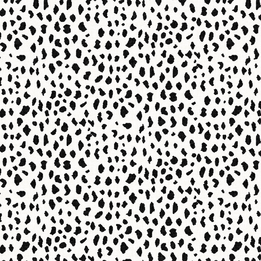 Black and White Dottie Bed