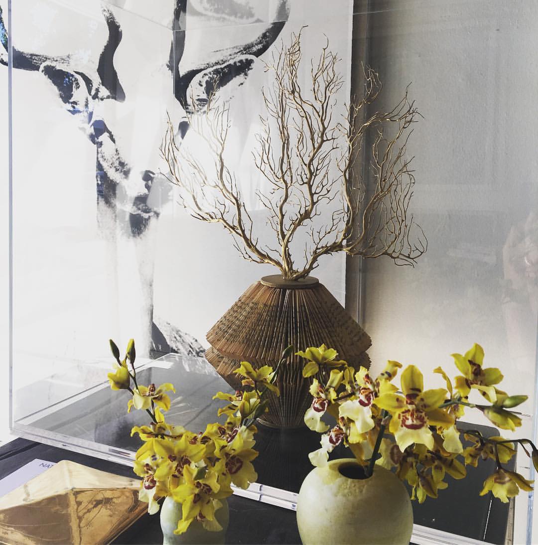 Natural Curiosities Tylinek Deer