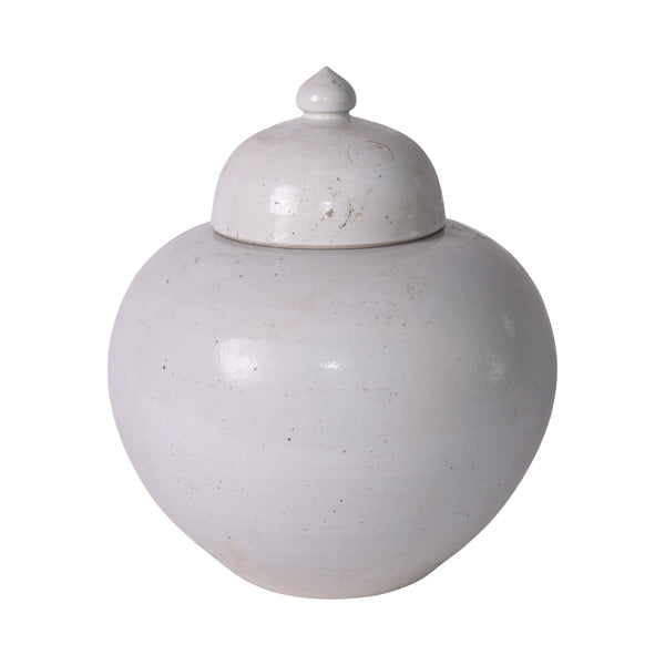 Busan White Lidded Ginger Jar Large By Legends Of Asia