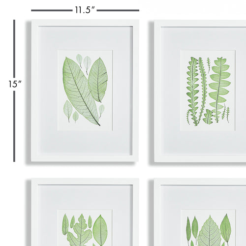 Napa Home And Garden Assorted Leaf Prints, Set Of 4