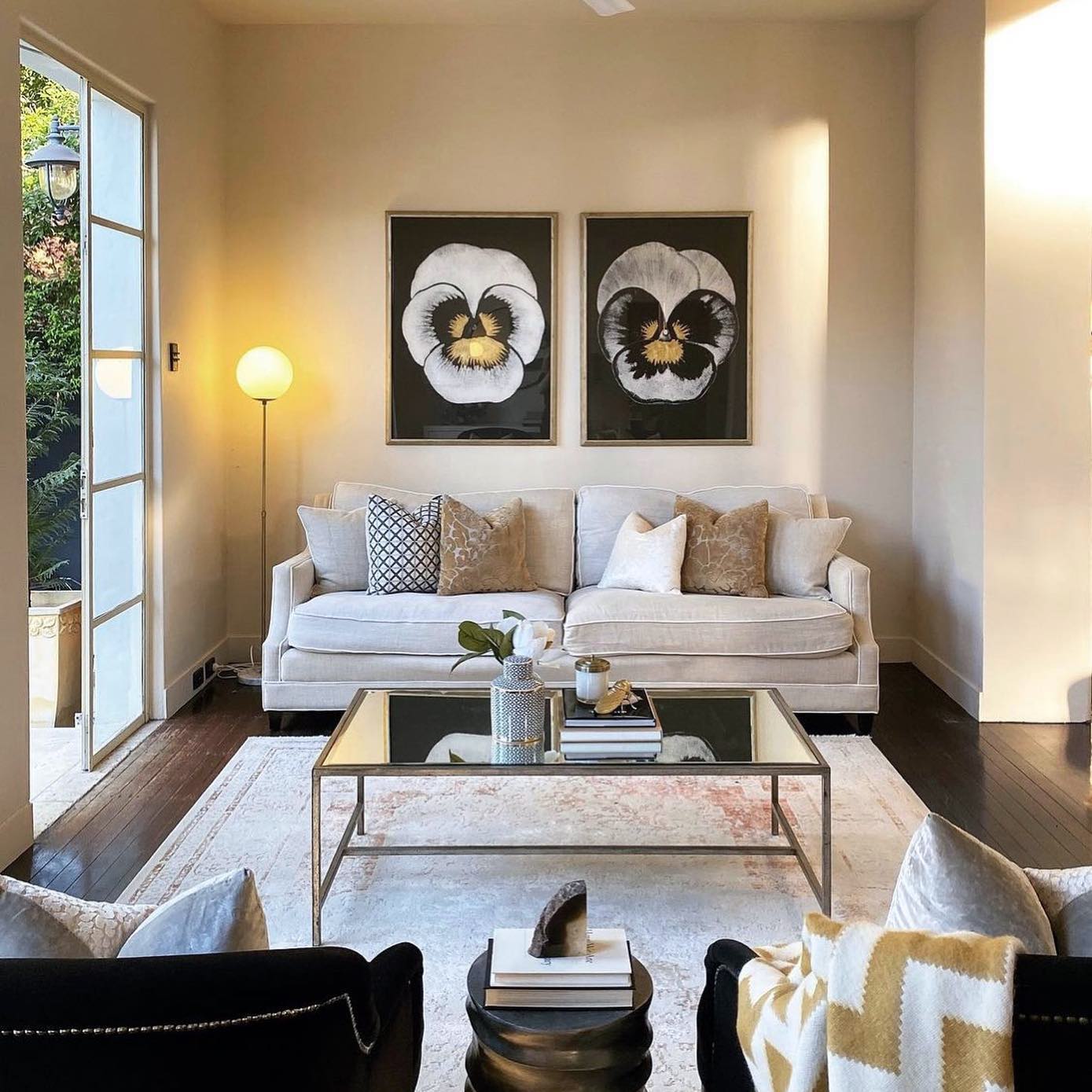 Natural Curiosities Modern Pansies Art