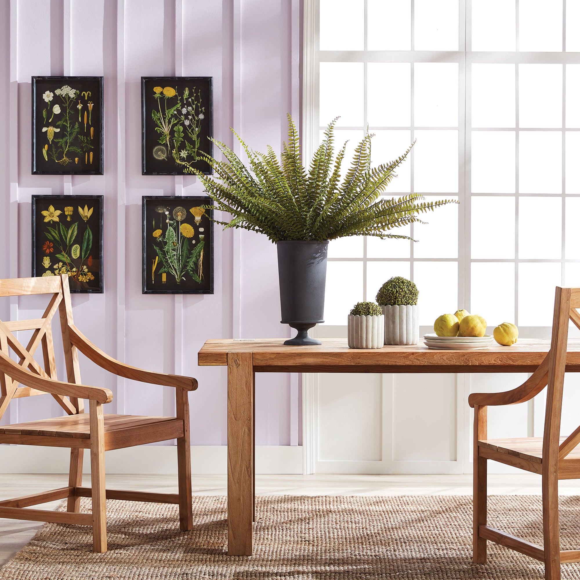 Napa Home And Garden Golden Botanical Study, Set Of 4