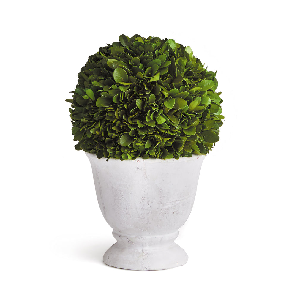 Napa Home And Garden Boxwood Ball Topiary In Pot Small