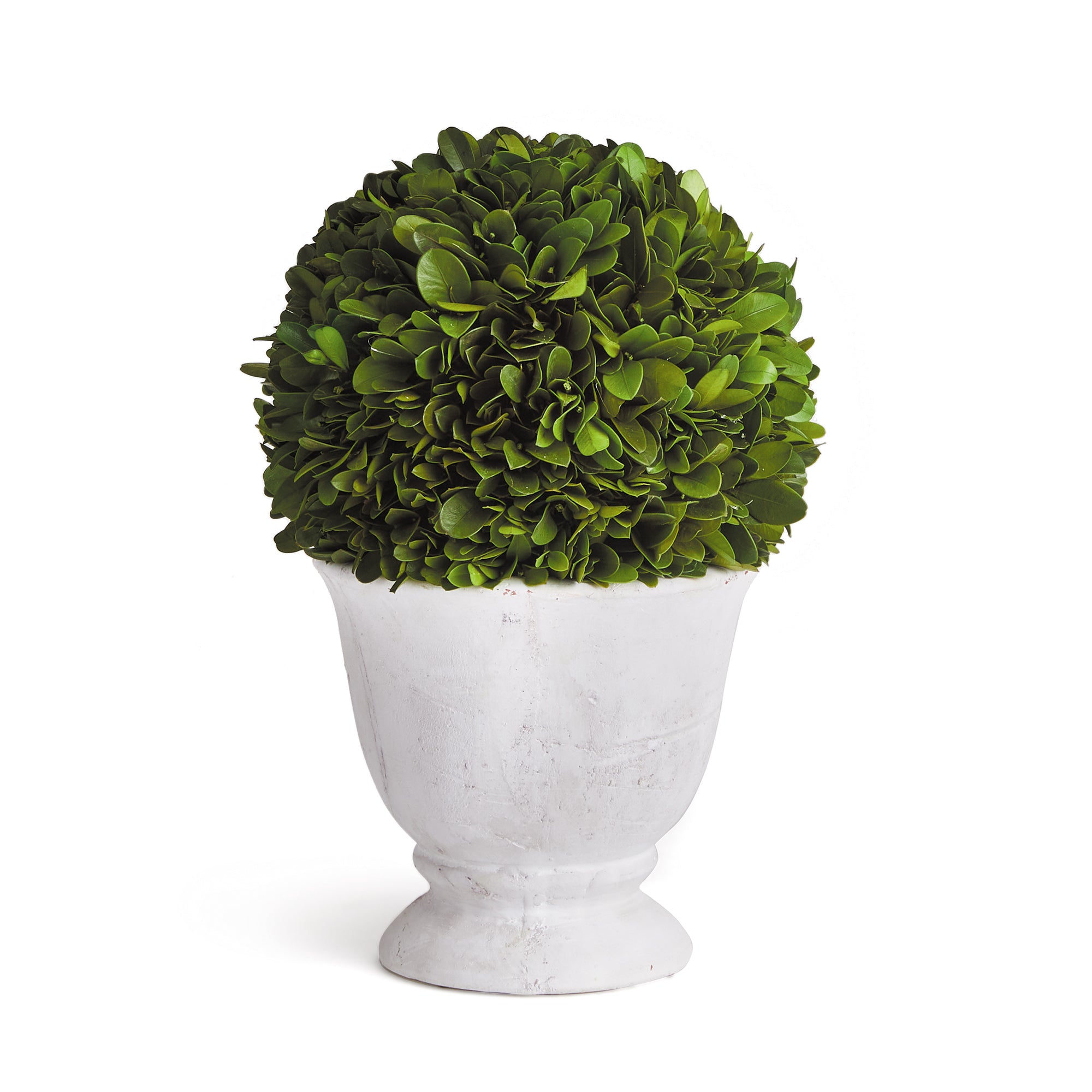 Napa Home And Garden Boxwood Ball Topiary In Pot Small