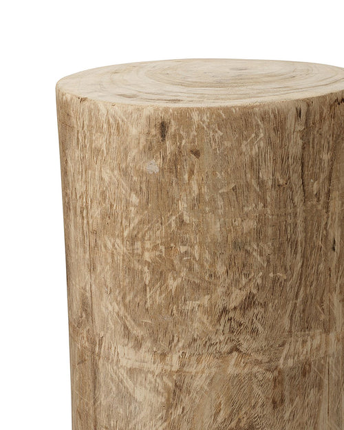 Jamie Young Agave Side Table