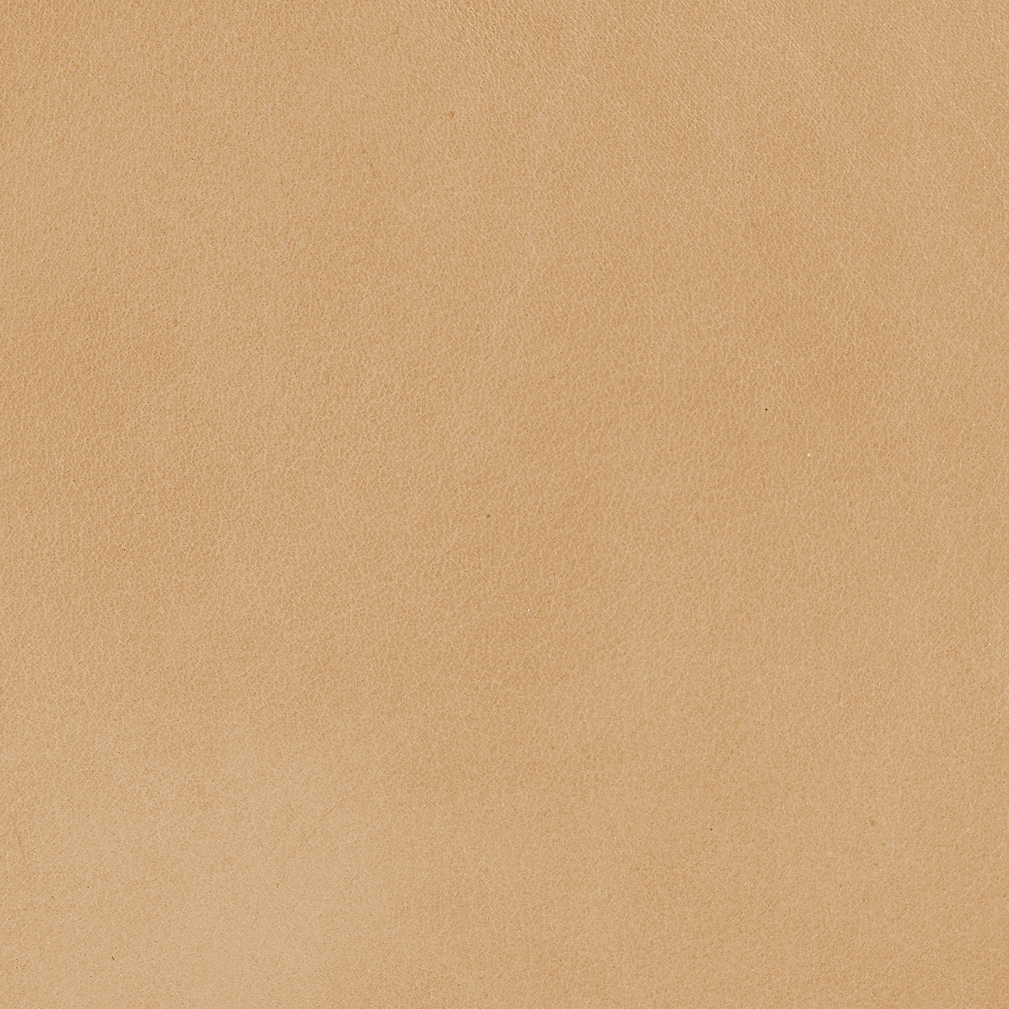 Jamie Young Alessa Sling Chair