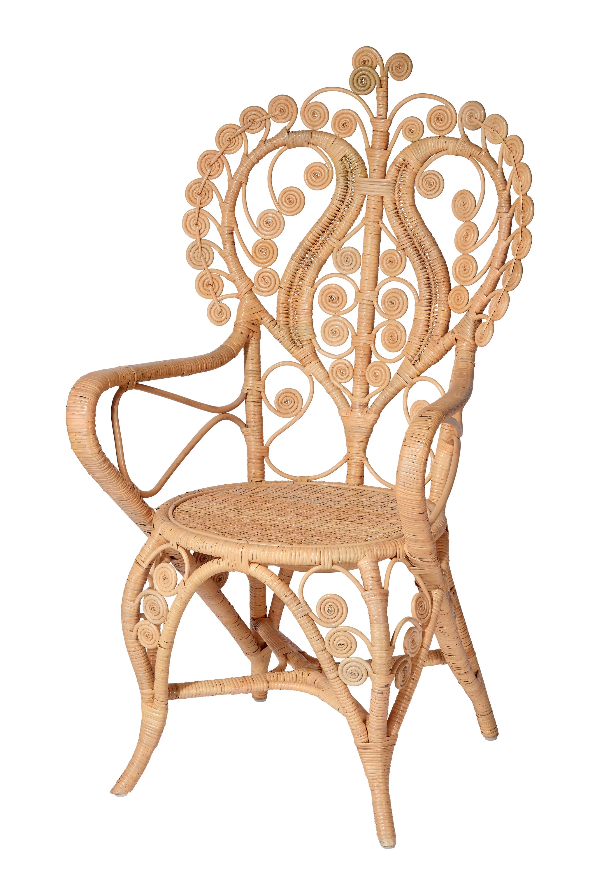 Jamie Young Hibiscus Arm Chair