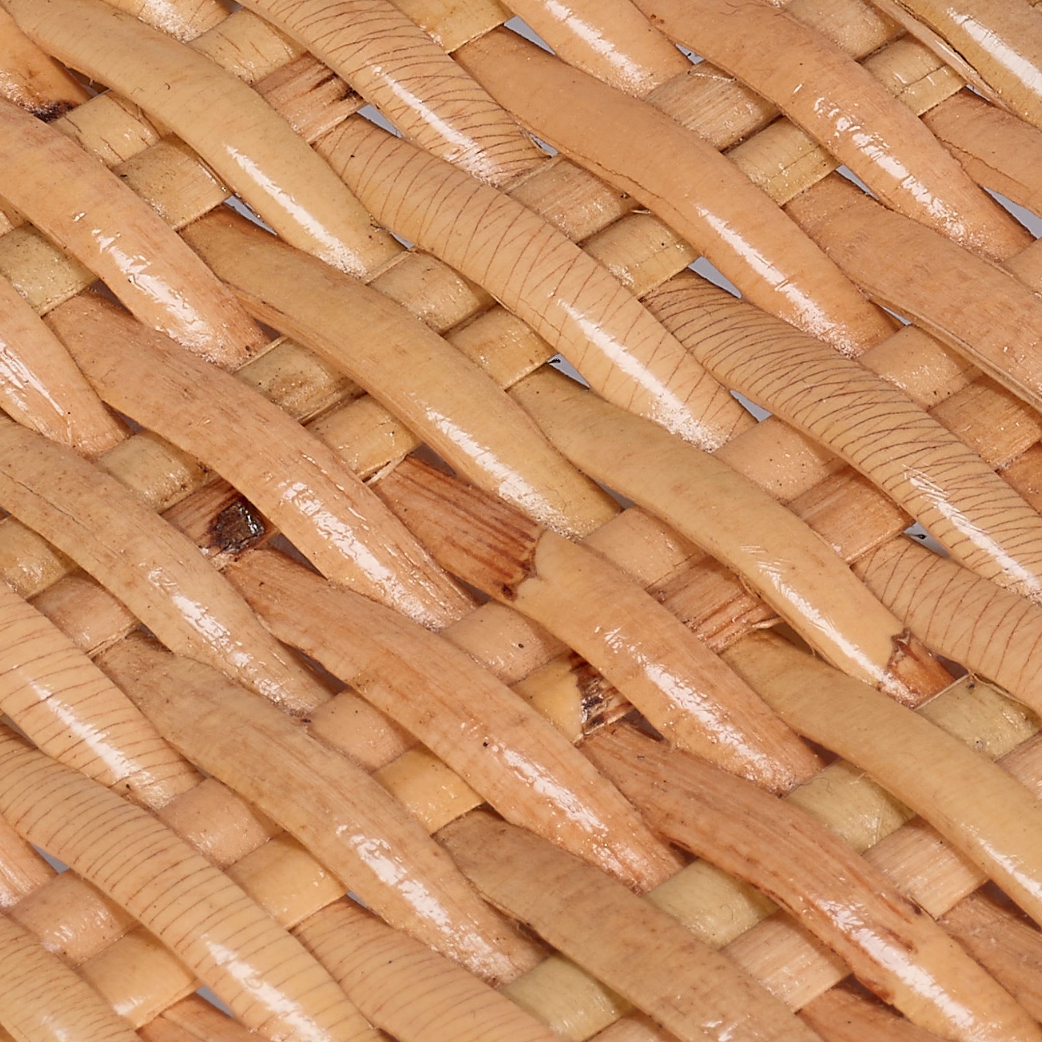 Jamie Young Hibiscus Arm Chair