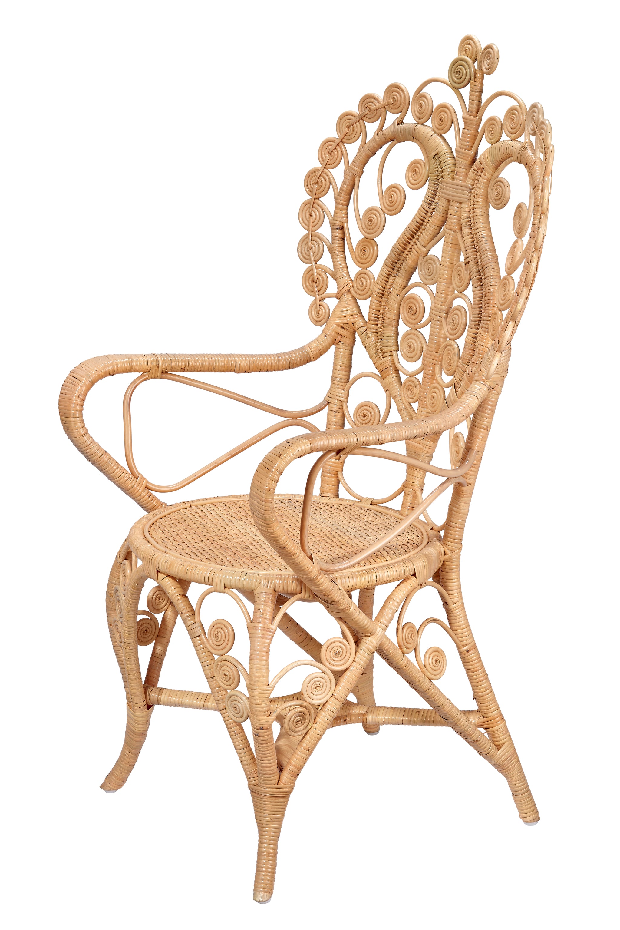 Jamie Young Hibiscus Arm Chair