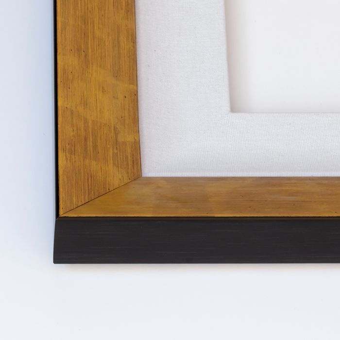 FEATHERS DREAM 3 by Natural Curiosities