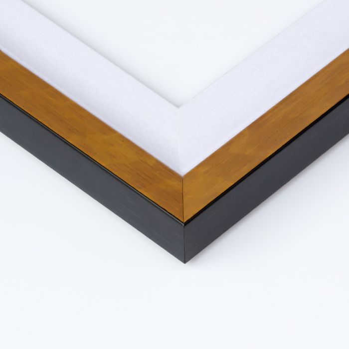 FEATHERS DREAM 3 by Natural Curiosities