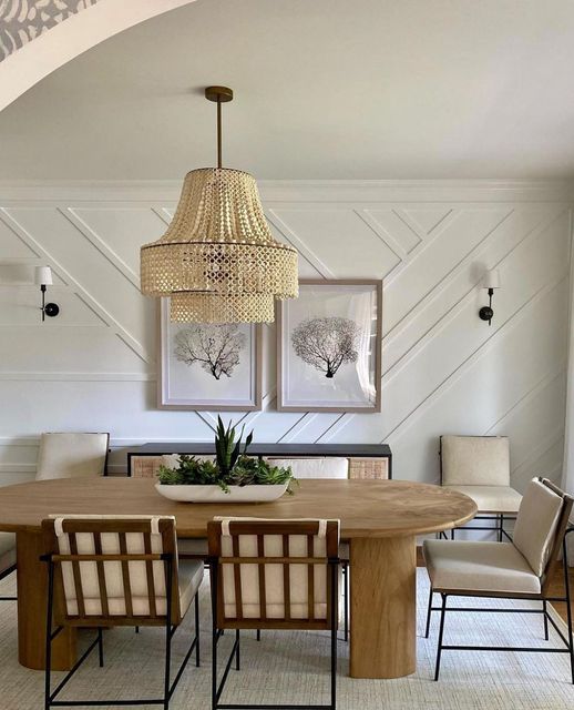 Natural Curiosities Nature Sea Fan Art