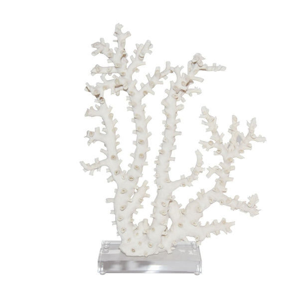 Octopus Coral 12 15 Inch By Legends Of Asia