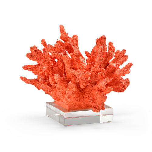 Wildwood Coral