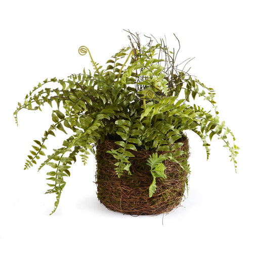 Napa Home And Garden Boston Fern Rustic Drop In 12"