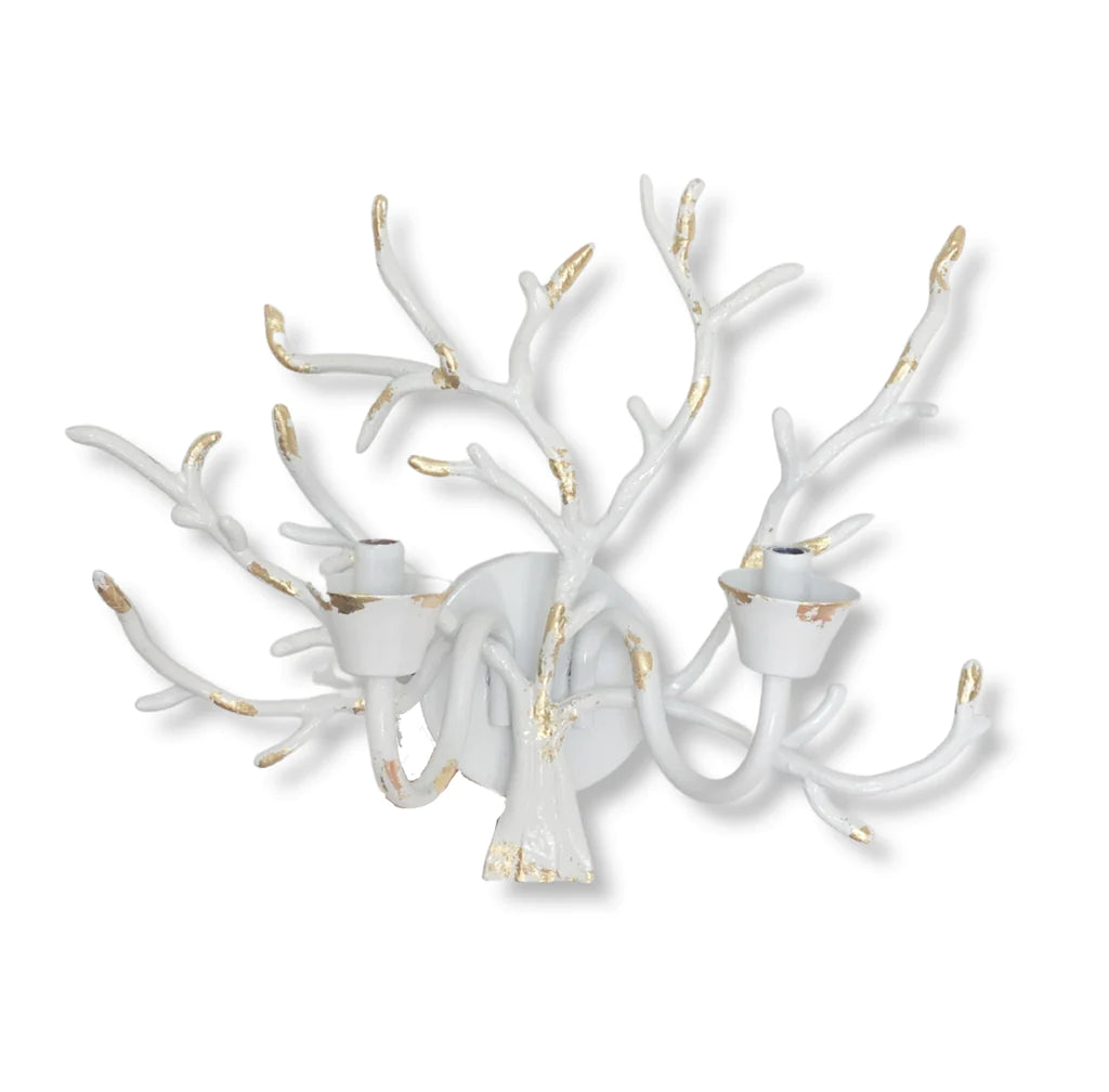 Dana Gibson Coral Wall Sconce