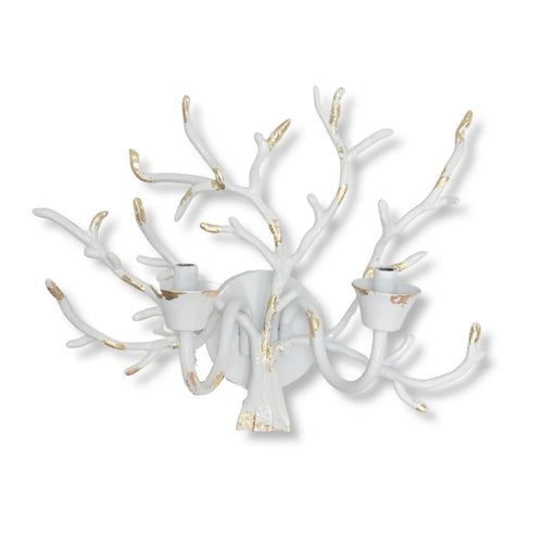 Dana Gibson Coral Wall Sconce