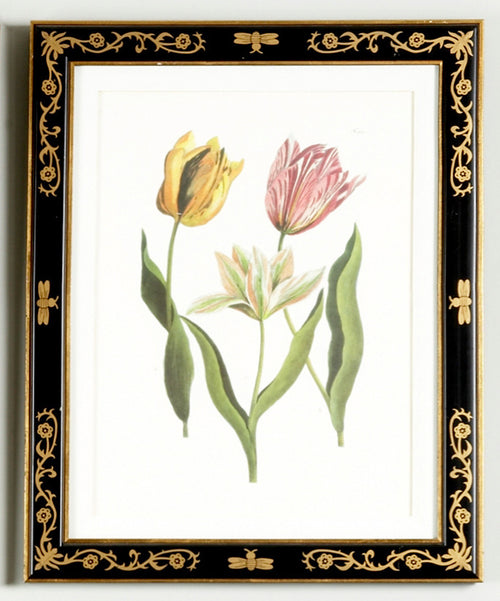 Chelsea House Tulip Framed Art Print
