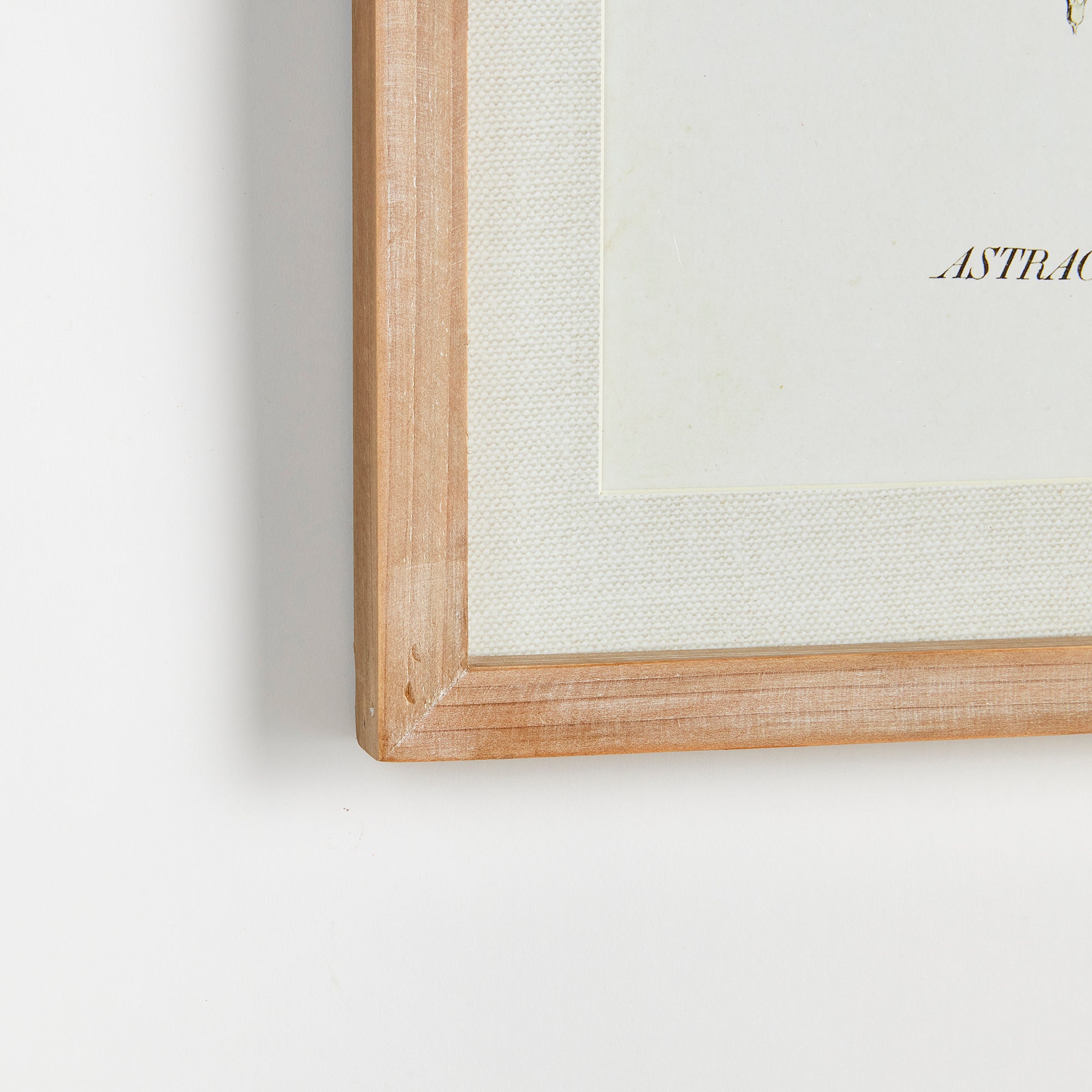 Napa Home And Garden Mid Summer Blooms Prints, Set Of 6