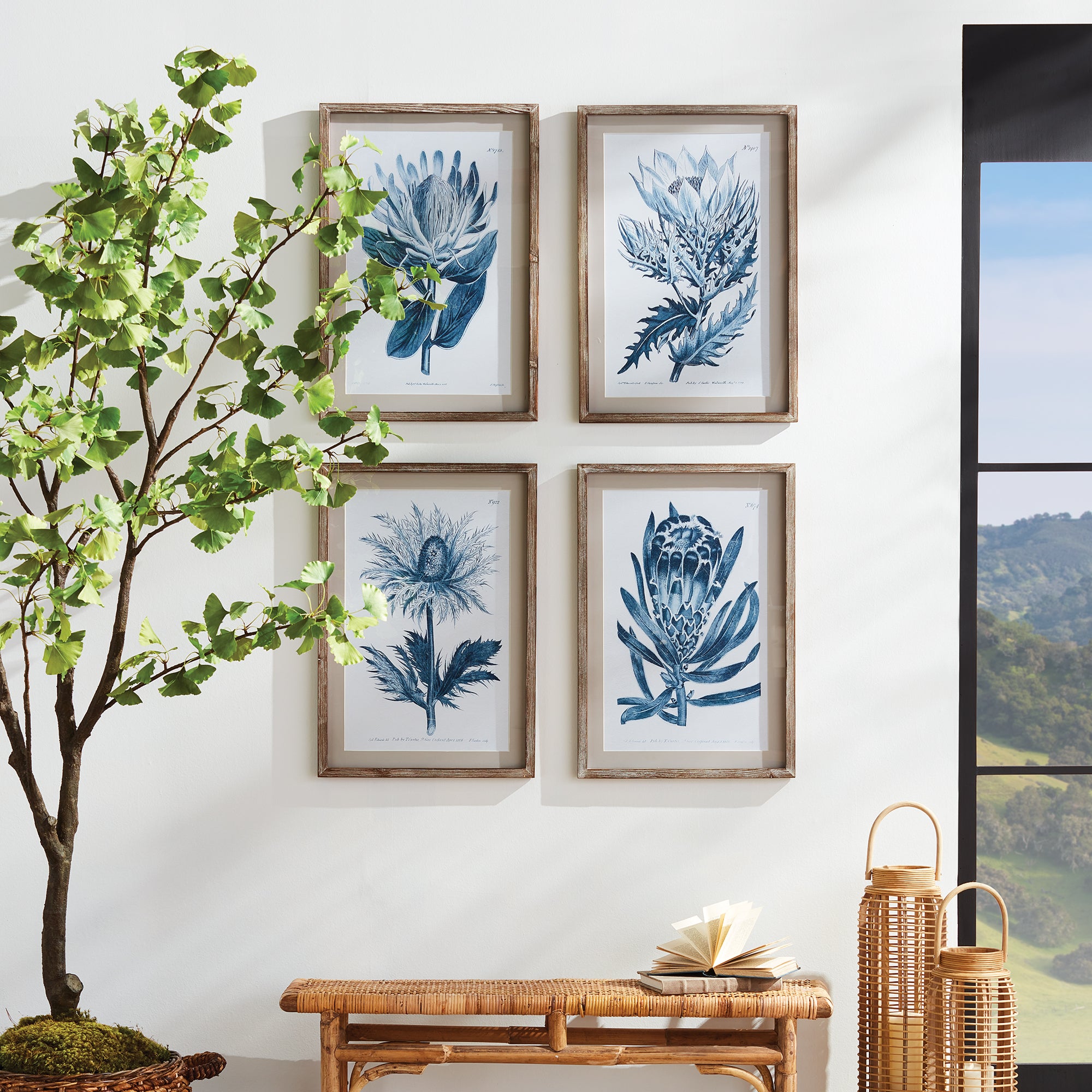 Napa Home And Garden Indigo Protea Prints St/4
