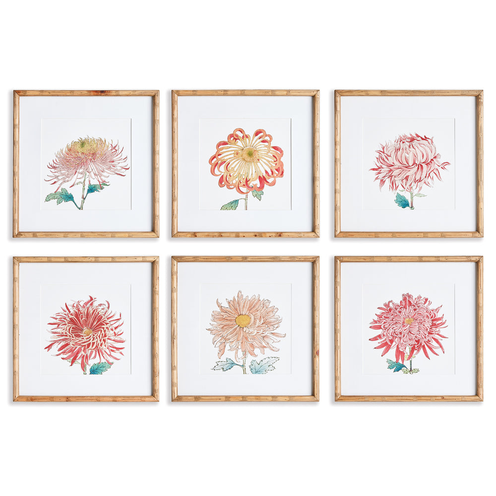 Napa Home And Garden Colorful Chrysanthemum Prints, Set of 6